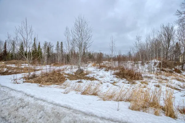 $39,900 | Tbd 7th Street, Nashwauk, MN 55769