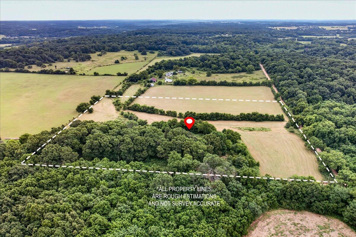 0 Little Mill Road Granby, MO 64844 - Photo 10 of 10 07-001_East