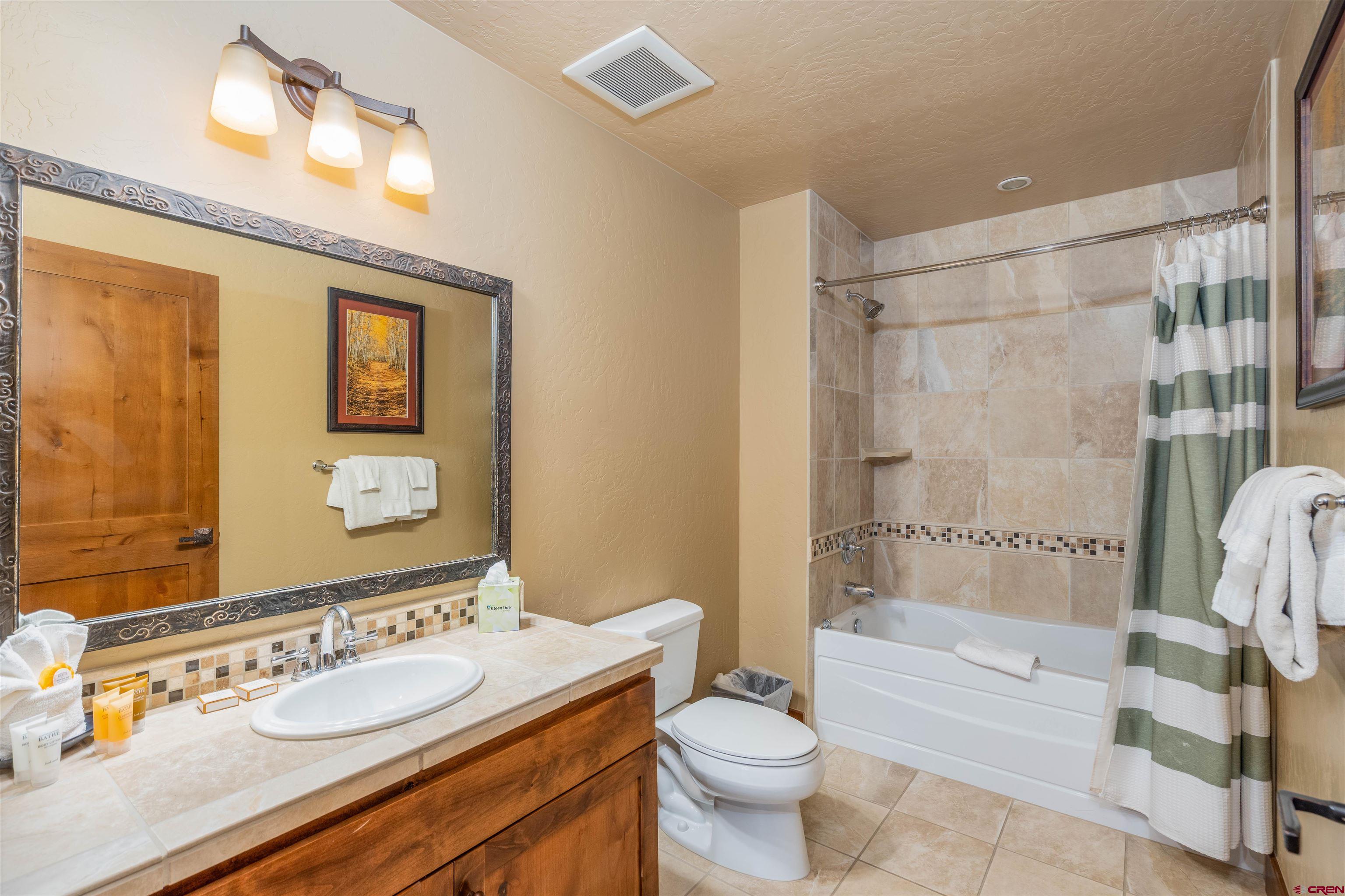 24 Sheol Street, Unit 204 Durango, CO 81301 - Photo 14 of 29 a bathroom with a sink a toilet and shower