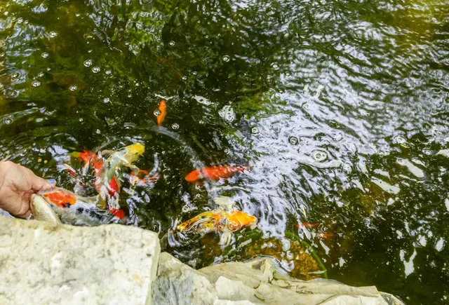 $1,425,990 | 205 Kummrow Court, Wales, WI 53183