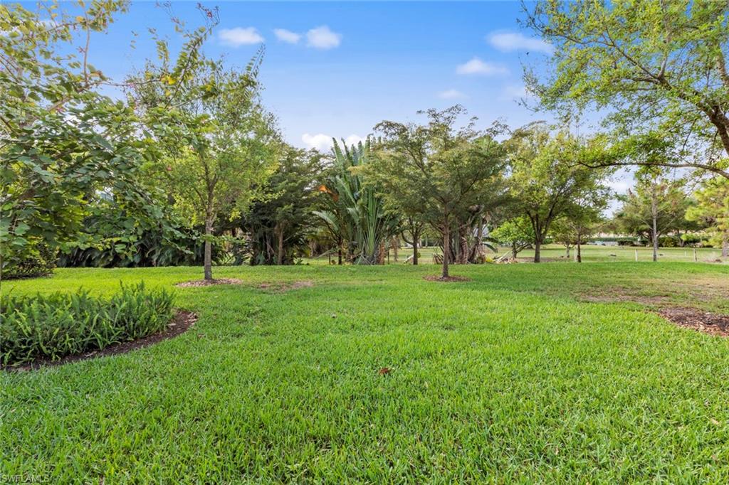 1608 Mockingbird Drive Naples, FL 34120 - Photo 28 of 29 a huge green field with lots of bushes