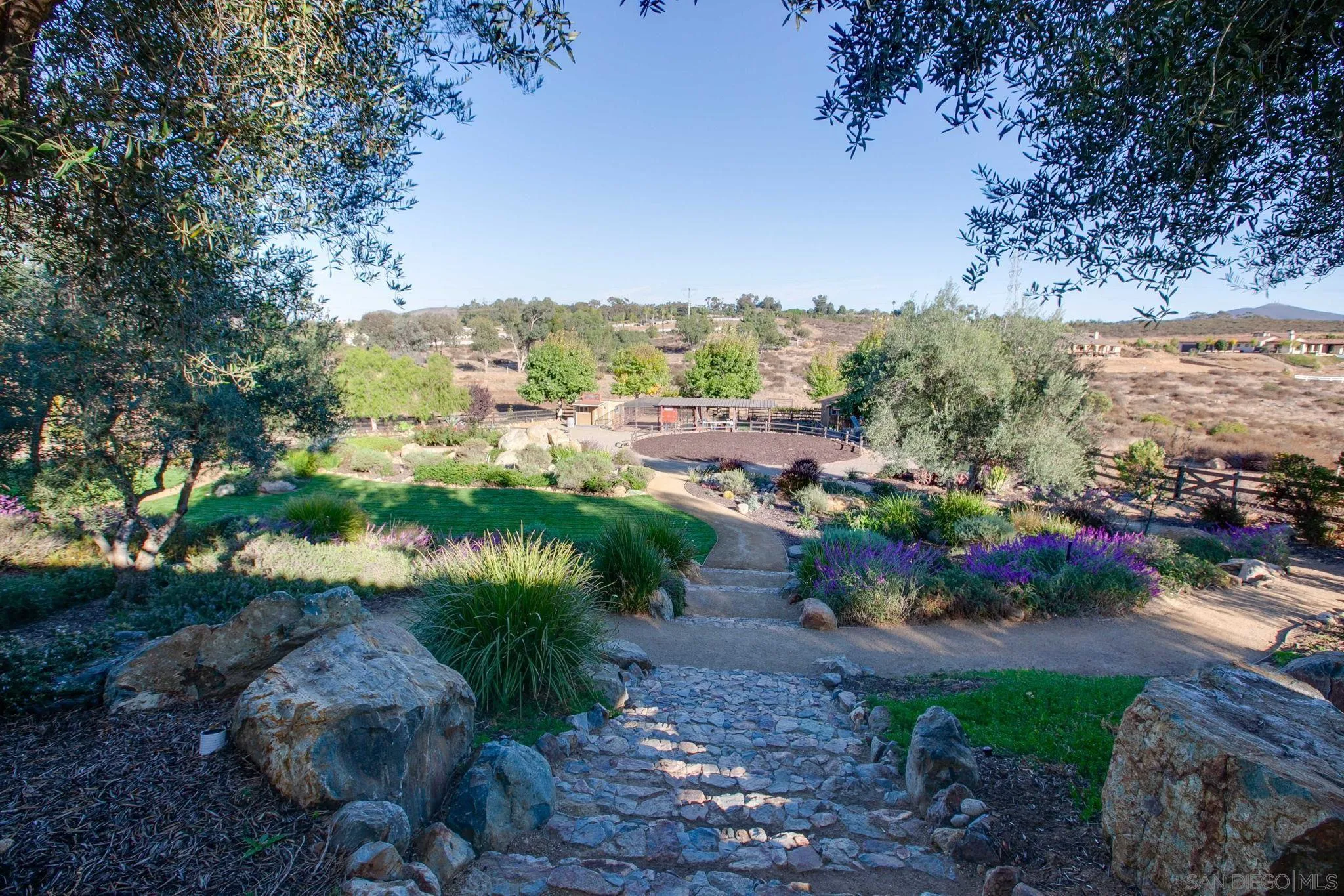 7429 Artesian Road Rancho Santa Fe, CA 92067 - Photo 20 of 41 a view of a garden with plants and large trees