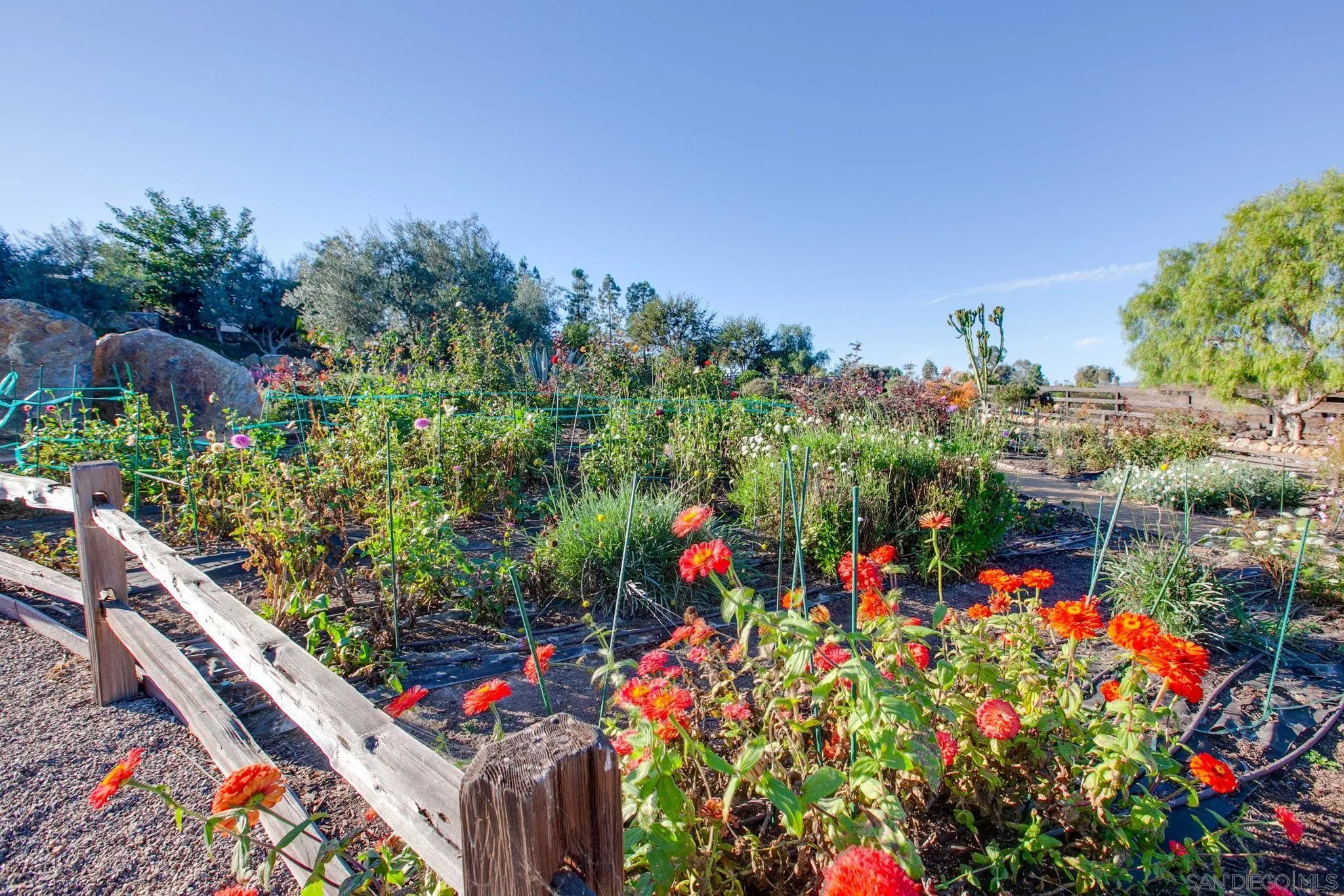 7429 Artesian Road Rancho Santa Fe, CA 92067 - Photo 37 of 41