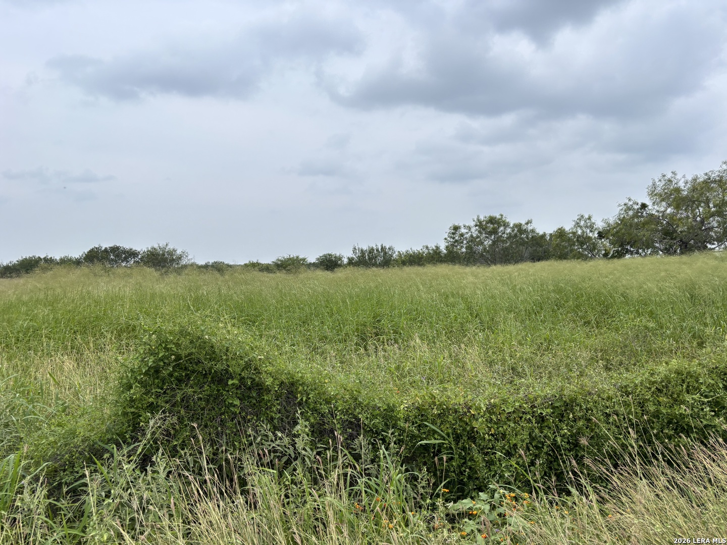0 Farm To Market Rd 3249 Realitos, TX 78376 - Photo 13 of 14