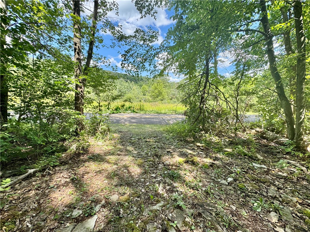0 Breed Hollow Road Corning, NY 14830 - Photo 1 of 9