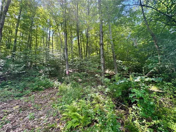 $32,000 | 0 Breed Hollow Road, Horseheads, NY 14845