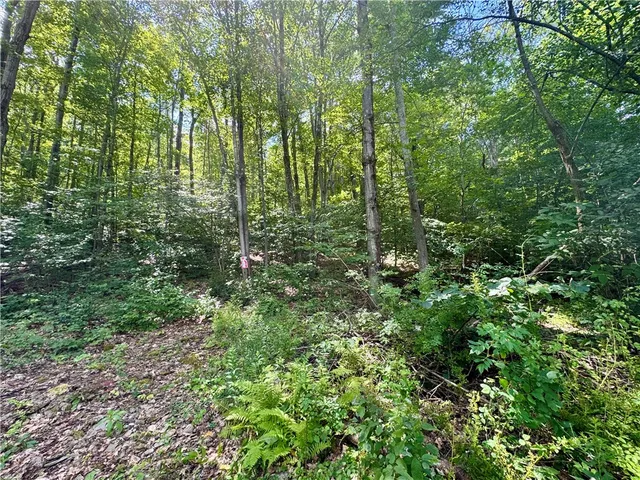 $32,000 | 0 Breed Hollow Road, Corning, NY 14830