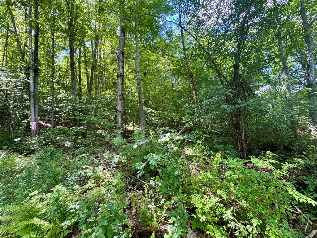 0 Breed Hollow Road Corning, NY 14830 - Photo 3 of 9