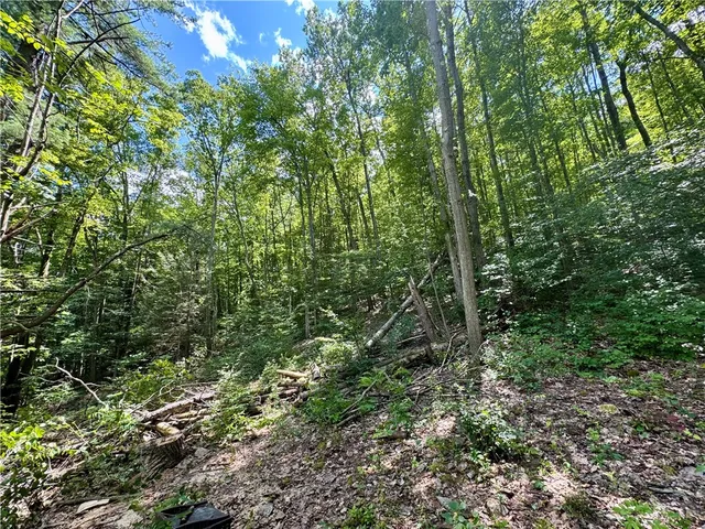 $32,000 | 0 Breed Hollow Road, Corning, NY 14830