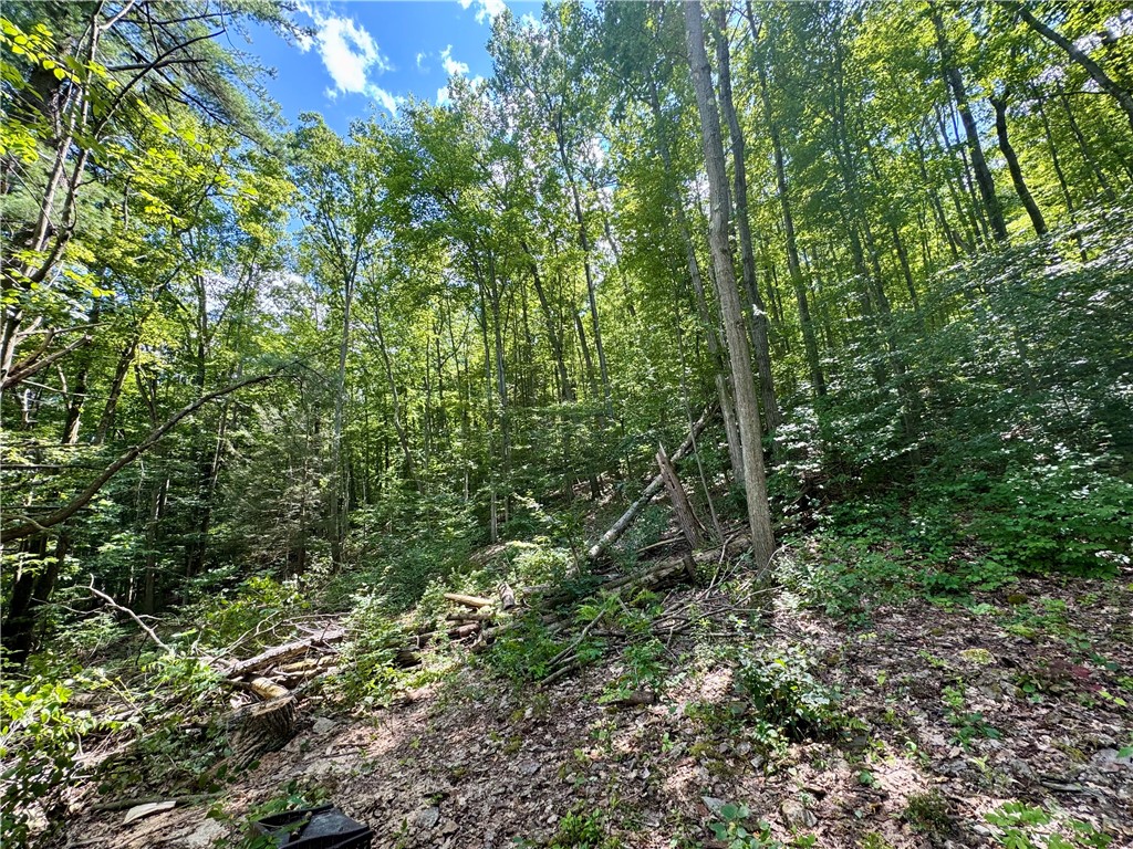 0 Breed Hollow Road Corning, NY 14830 - Photo 4 of 9