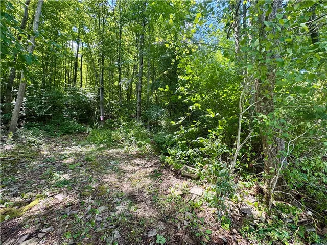 $32,000 | 0 Breed Hollow Road, Corning, NY 14830