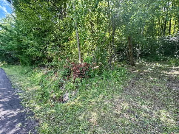 $32,000 | 0 Breed Hollow Road, Horseheads, NY 14845