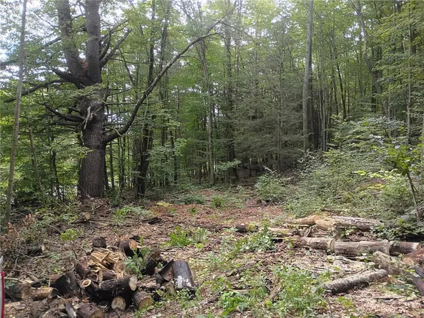 $32,000 | 0 Breed Hollow Road, Horseheads, NY 14845