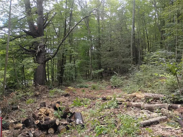 $32,000 | 0 Breed Hollow Road, Corning, NY 14830