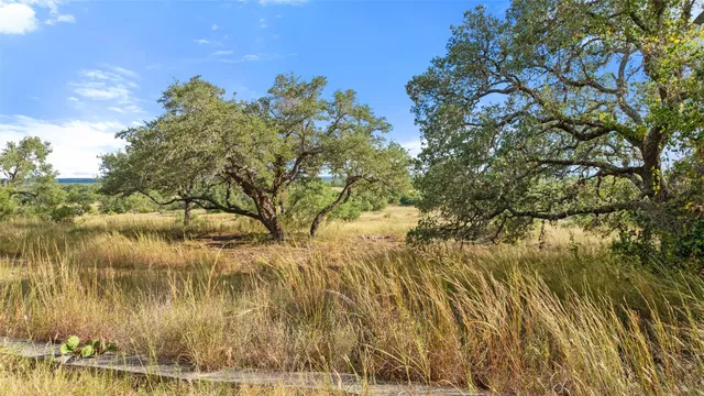 $699,000 | 5776 Farm To Market 165, Blanco, TX 78606