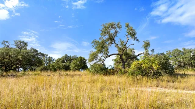 $699,000 | 5776 Farm To Market 165, Blanco, TX 78606