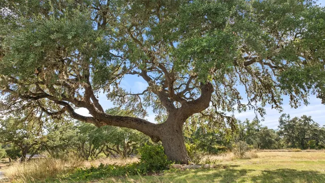 $699,000 | 5776 Farm To Market 165, Blanco, TX 78606