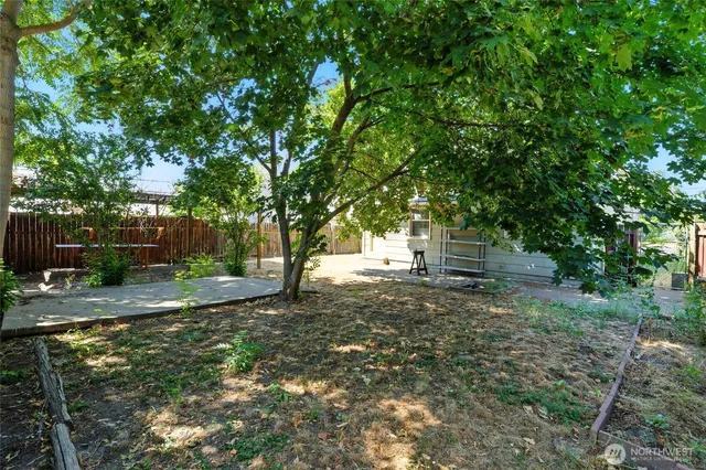 a view of backyard with tree