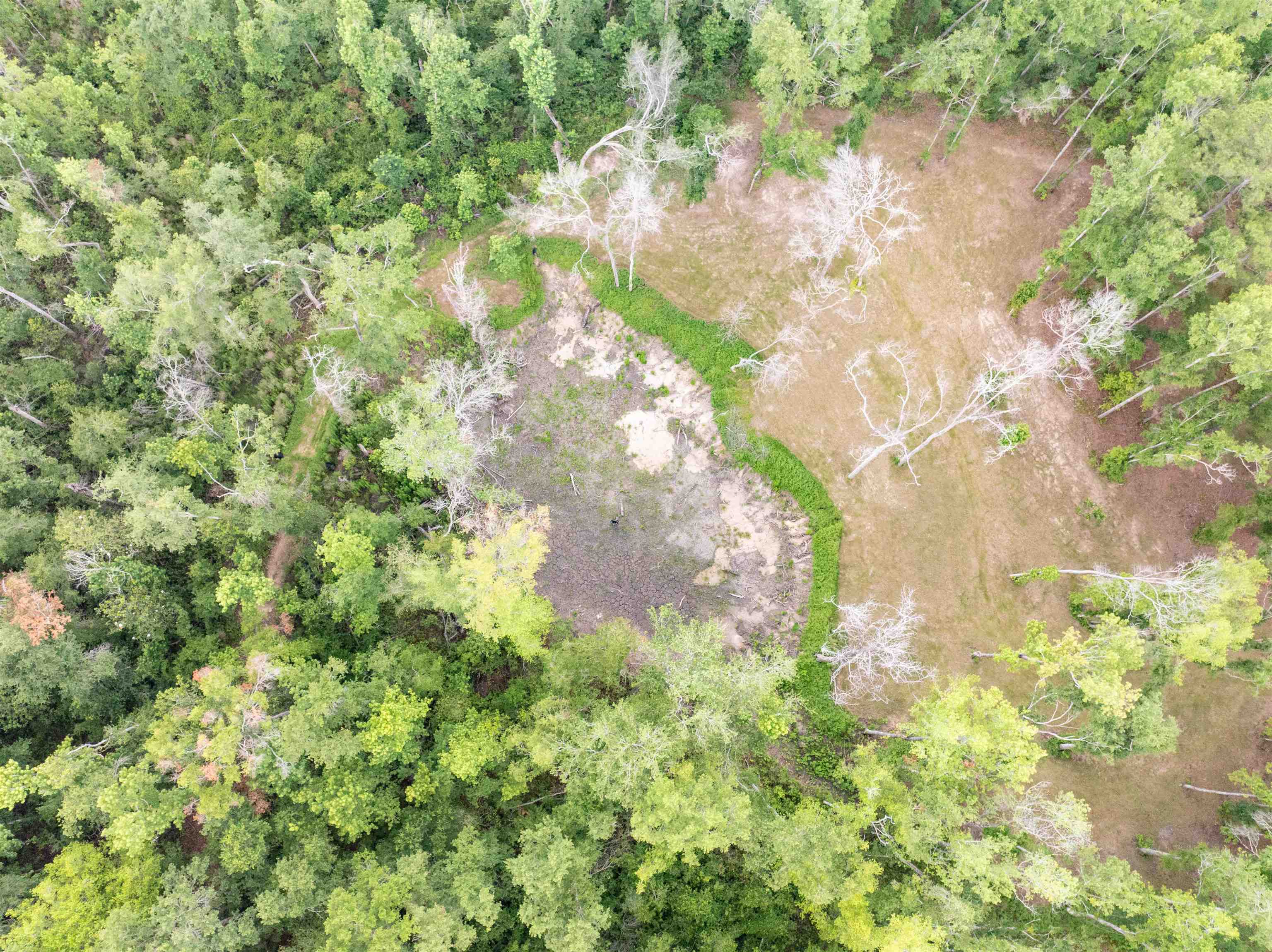 Vacant Northwest Vacant Nw Circle Road Madison, FL 32340 - Photo 13 of 18