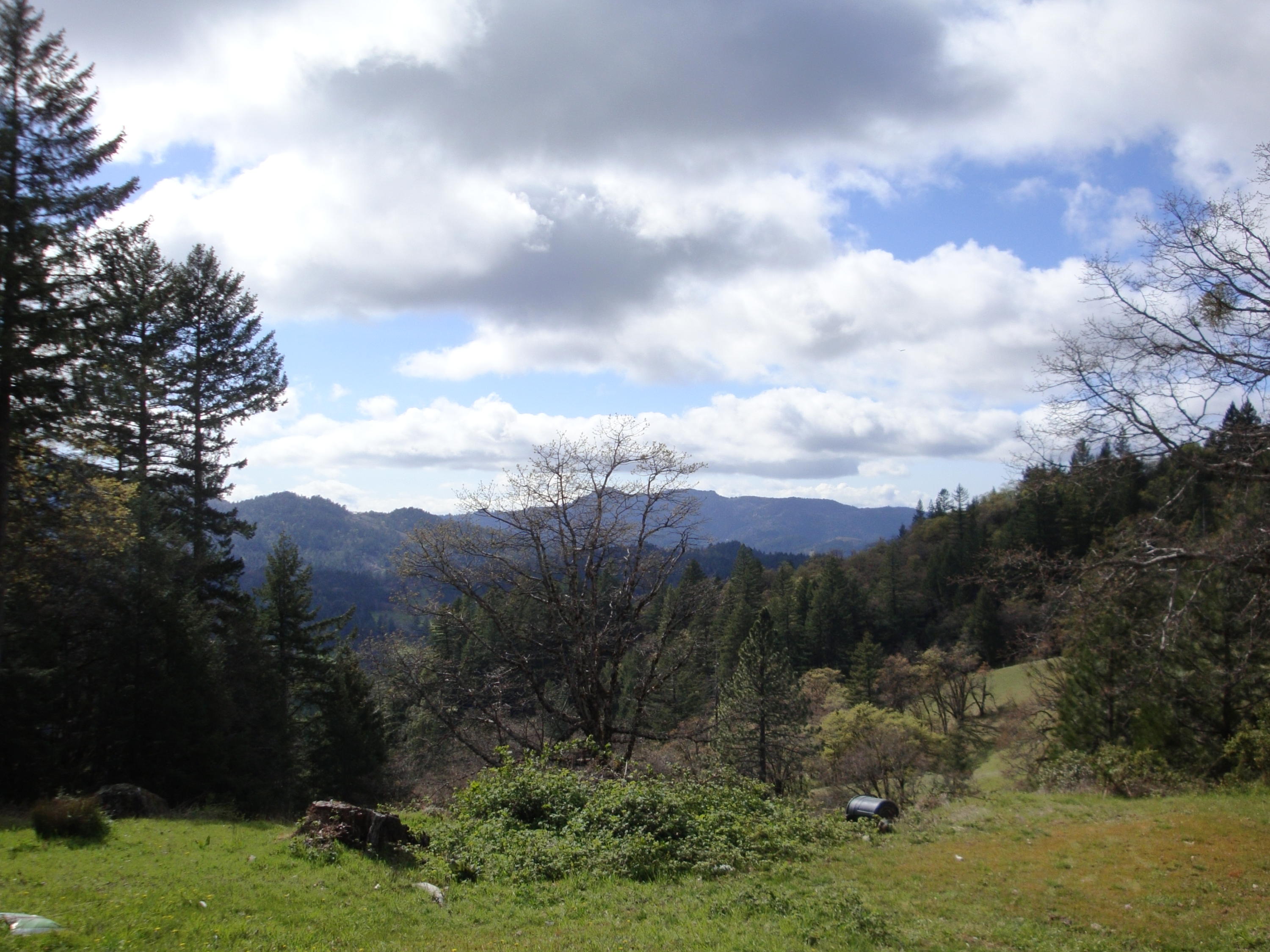 0 Buck Mountain Road Bridgeville, CA 95526 - Photo 4 of 33