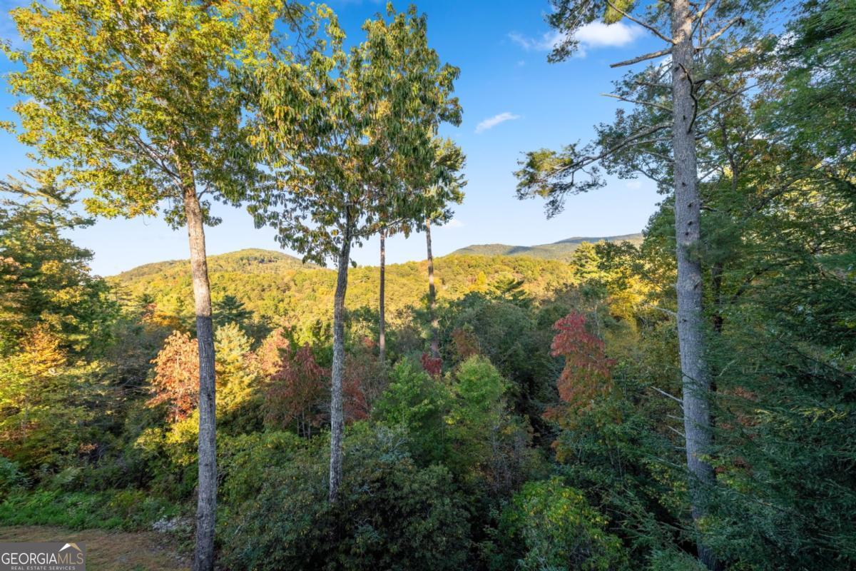 709 Laurel Creek Trail Blue Ridge, GA 30513 - Photo 21 of 87 a view of a trees