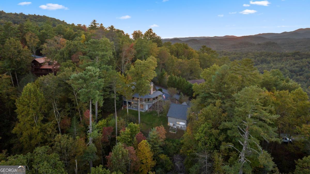 709 Laurel Creek Trail Blue Ridge, GA 30513 - Photo 36 of 87