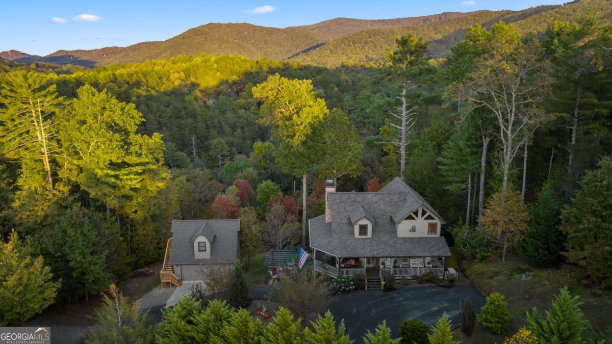 709 Laurel Creek Trail Blue Ridge, GA 30513 - Photo 8 of 87