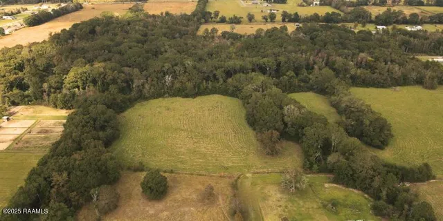 $172,500 | Tbd Tbd Higginbotham Lane, Sunset, LA 70584