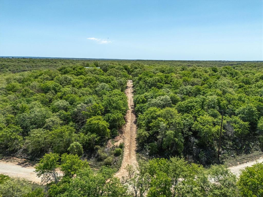 900 Hill Top Road Nocona, TX 76255 - Photo 9 of 12 an outdoor space with lots of trees