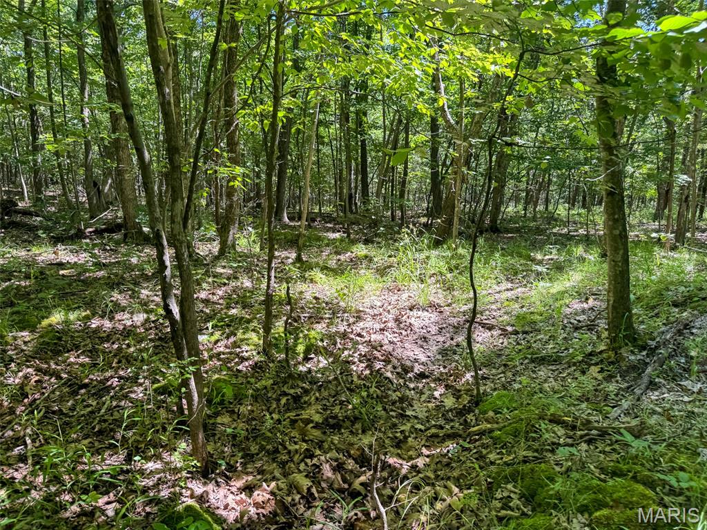 2 King School Road Ironton, MO 63650 - Photo 20 of 28