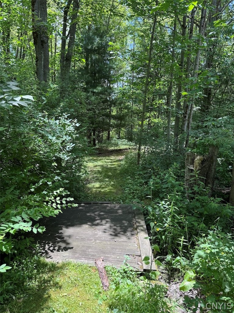 6227 Fritz Road Belfast, NY 14739 - Photo 39 of 50