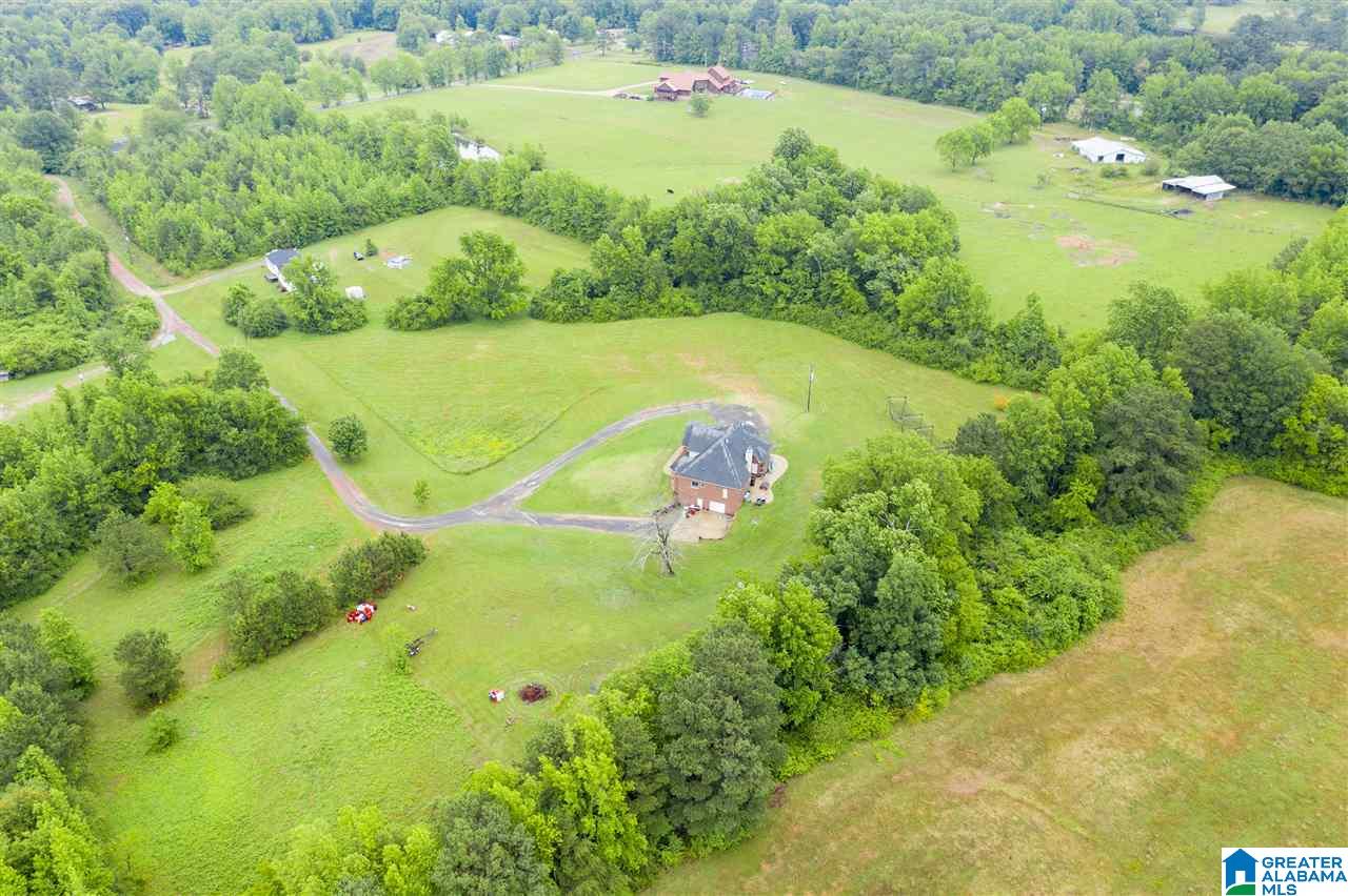 10006 Shipptown Road Empire, AL 35063 - Photo 41 of 45