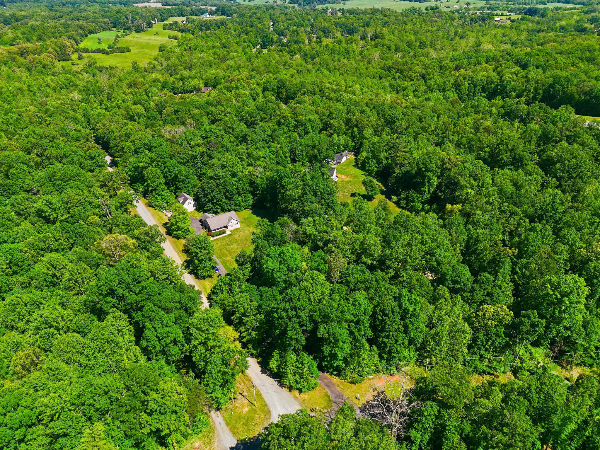 1522 Meander Run Road Locust Dale, VA 22948 - Photo 68 of 72 Serene woodland retreat awaits you.