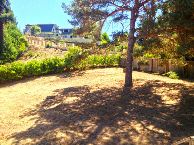 372 Browns Valley Road Watsonville, CA 95076 - Photo 11 of 14 Gallery Image 11