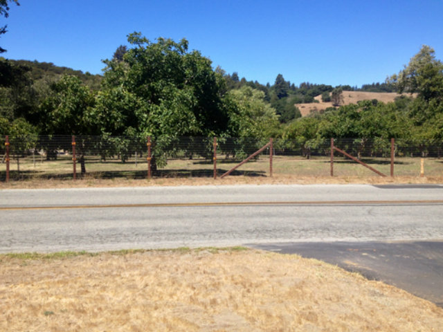 372 Browns Valley Road Watsonville, CA 95076 - Photo 13 of 14 Gallery Image 13