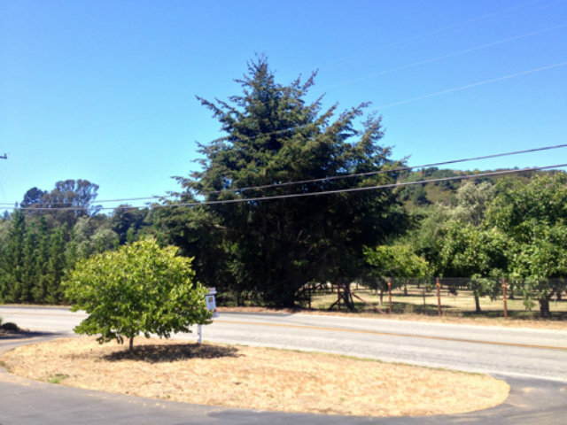 372 Browns Valley Road Watsonville, CA 95076 - Photo 14 of 14 Gallery Image 14