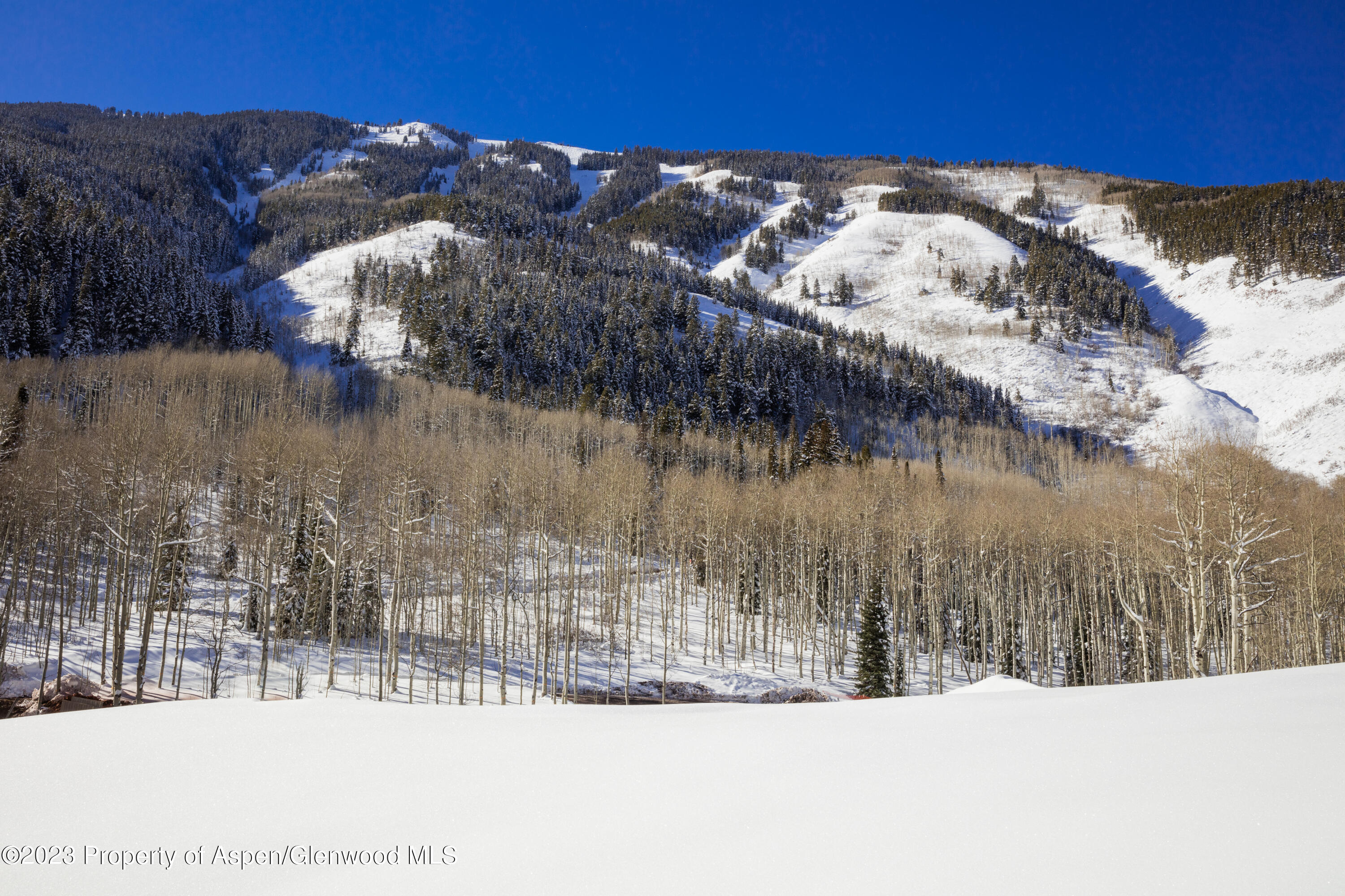 640 South Hayden Road Aspen, CO 81611 - Photo 29 of 42 15