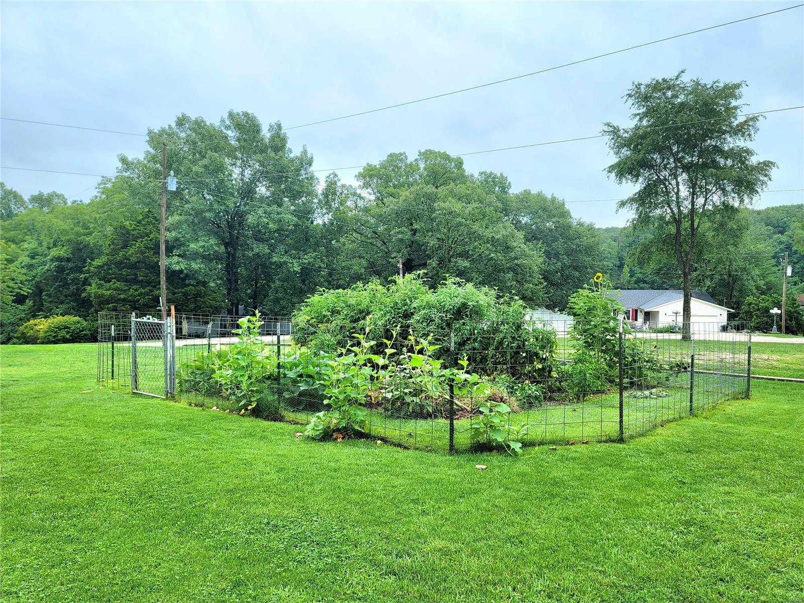 317 Red Bird Circle St. Clair, MO 63077 - Photo 29 of 30