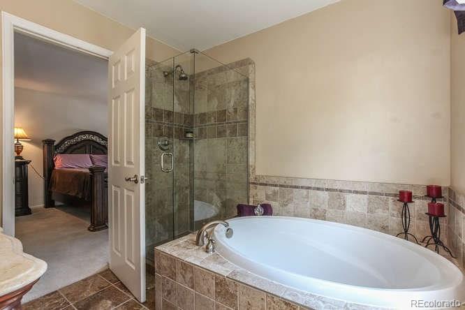 9852 South Castle Ridge Circle Highlands Ranch, CO 80129 - Photo 13 of 22