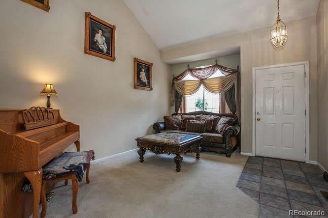 9852 South Castle Ridge Circle Highlands Ranch, CO 80129 - Photo 3 of 22