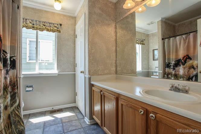 9852 South Castle Ridge Circle Highlands Ranch, CO 80129 - Photo 10 of 22