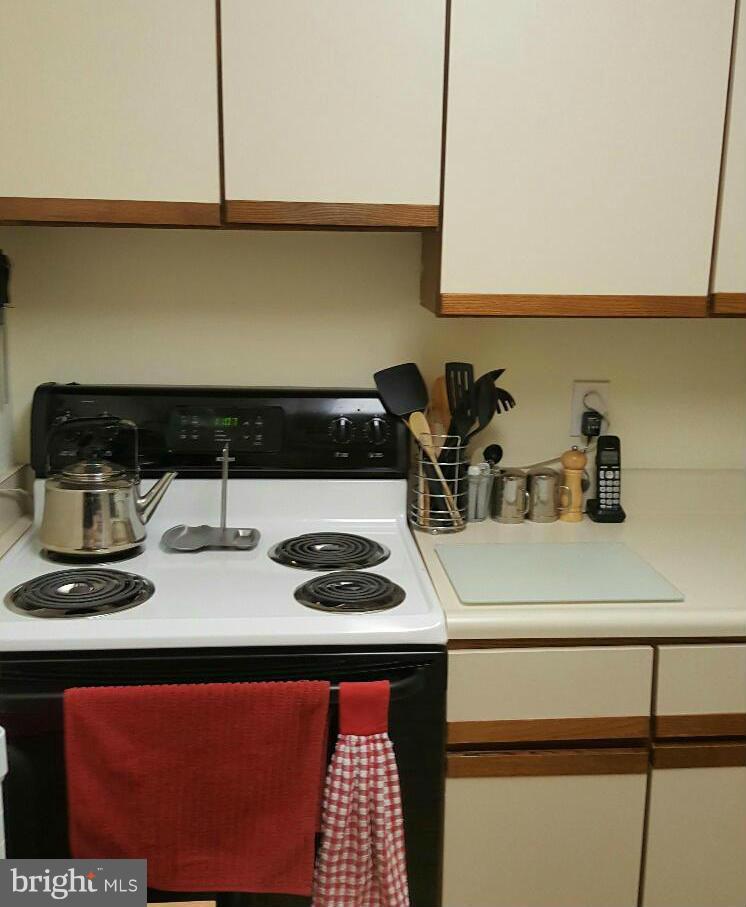 5712 Roland Avenue, Unit 2G Baltimore, MD 21210 - Photo 8 of 10 Kitchen 2