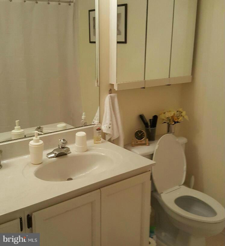 5712 Roland Avenue, Unit 2G Baltimore, MD 21210 - Photo 9 of 10 Bath