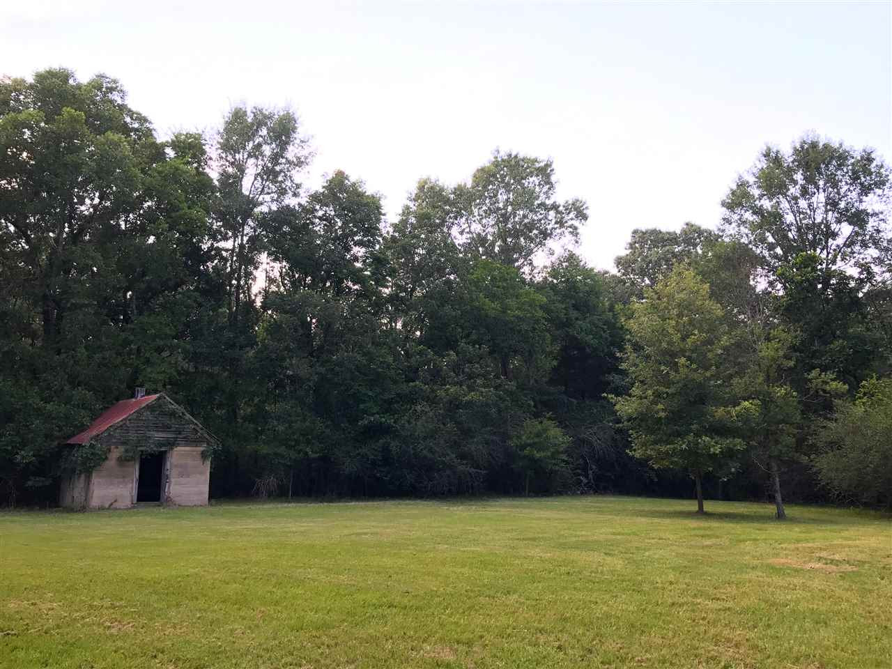 3101 Utica Road Crystal Springs, MS 39059 - Photo 14 of 50 Photo 14