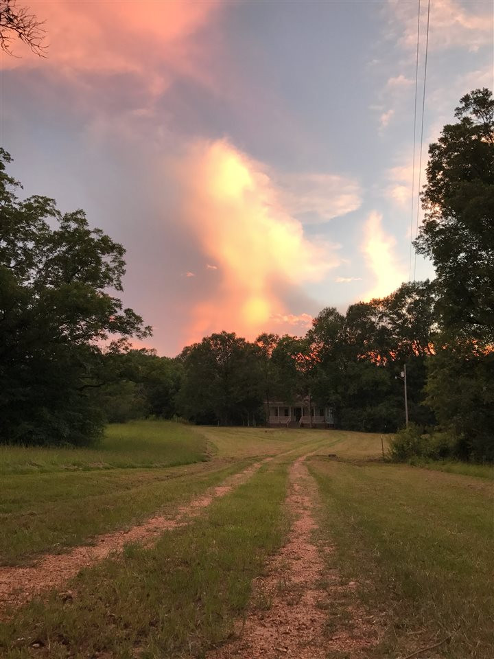 3101 Utica Road Crystal Springs, MS 39059 - Photo 18 of 50 Photo 18