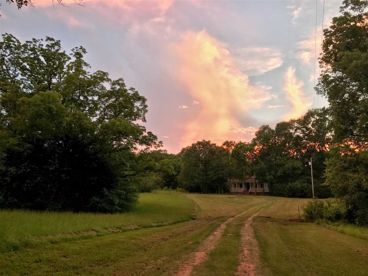 3101 Utica Road Crystal Springs, MS 39059 - Photo 3 of 50 Photo 3