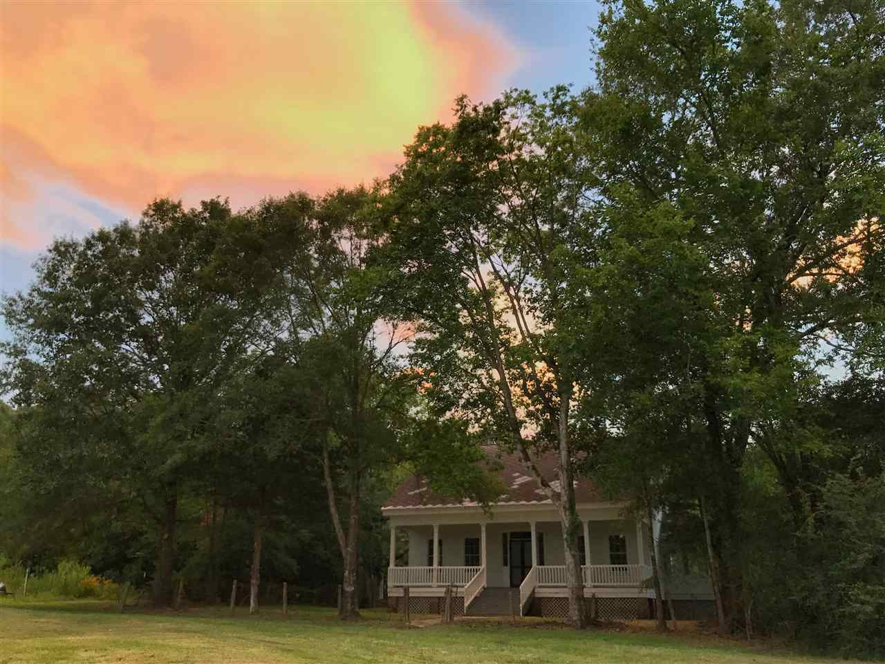 3101 Utica Road Crystal Springs, MS 39059 - Photo 4 of 50 Photo 4