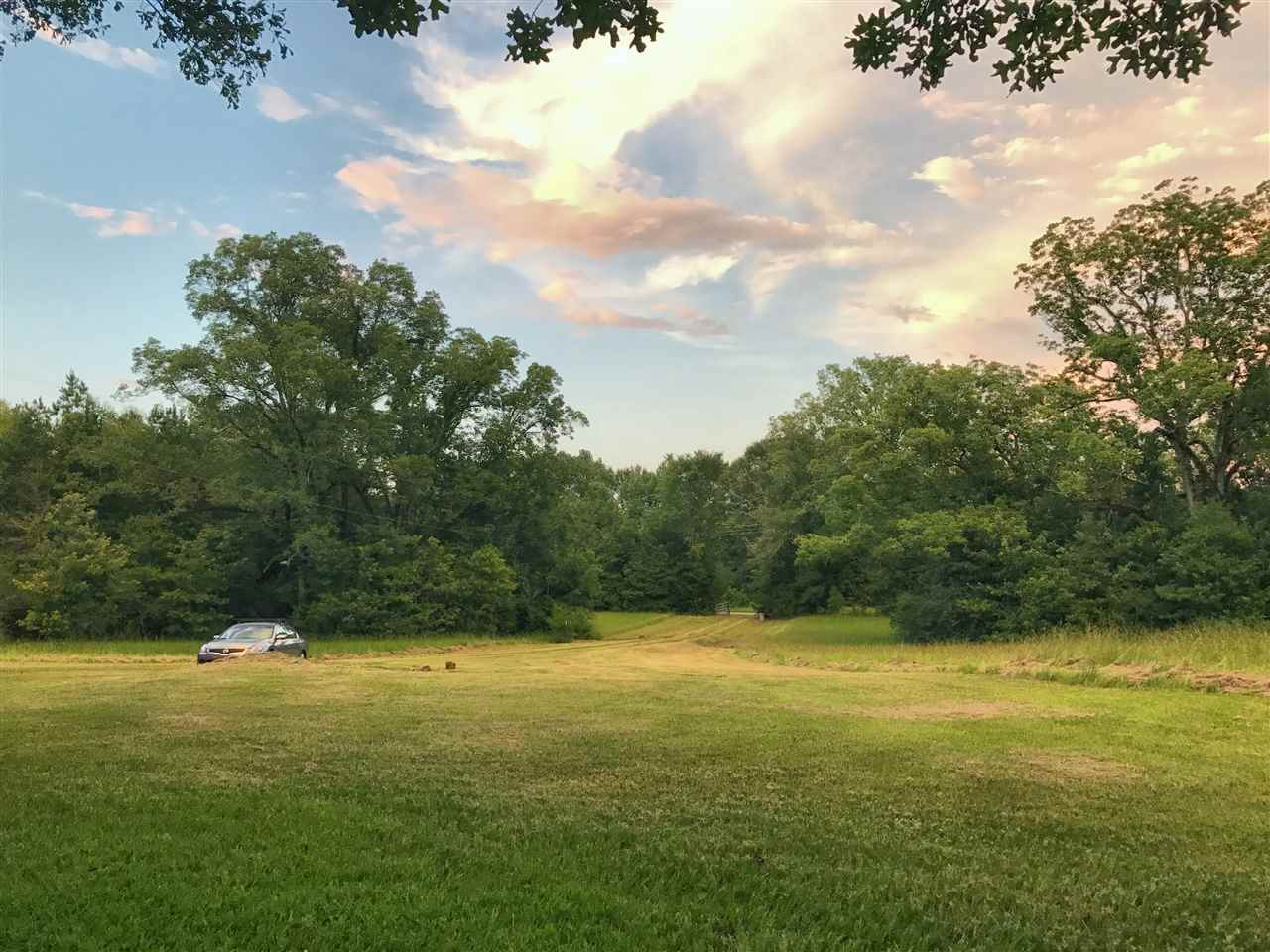3101 Utica Road Crystal Springs, MS 39059 - Photo 7 of 50 Photo 7