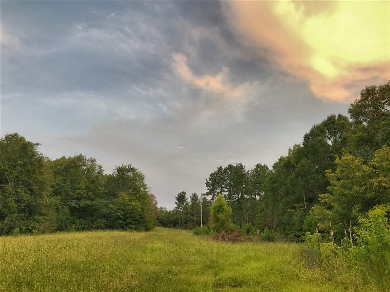 3101 Utica Road Crystal Springs, MS 39059 - Photo 8 of 50 Photo 8
