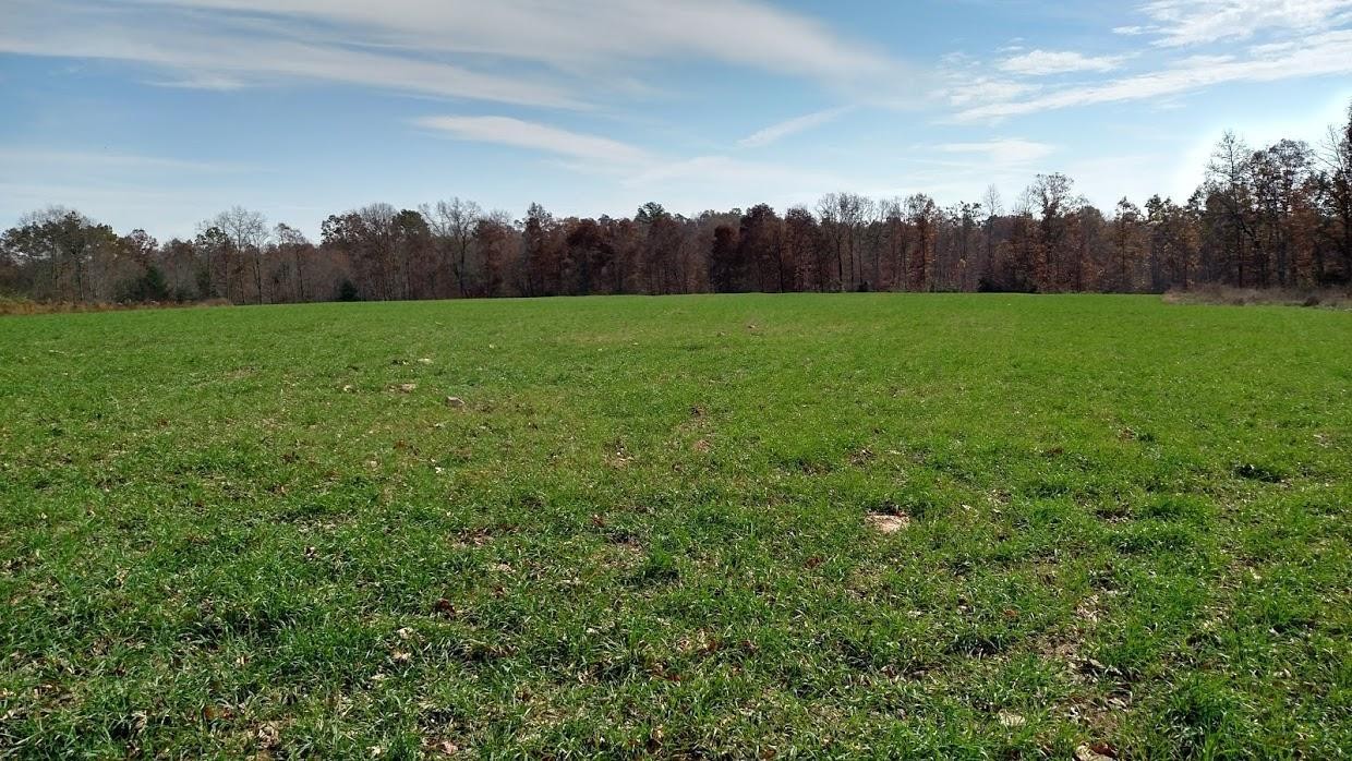 2255 Rome Road Lancing, TN 37770 - Photo 1 of 13 Gallery Image 1